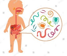 Single or Mixed Intestinal Worm Infections